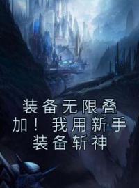 热门小说《装备无限叠加！我用新手装备斩神》完整版全文阅读