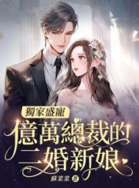 《独家盛宠，亿万总裁的二婚新娘陈苏苏贺庭》独家盛宠，亿万总裁的二婚新娘全文免费阅读【完整章节】