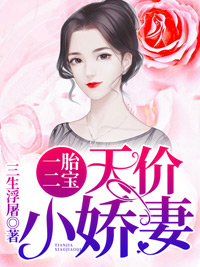 抖音完结《 一胎二宝：天价小娇妻》闵暖季司凉(全文在线阅读)