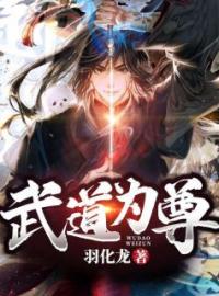 陈帆叶素霓《武道为尊》完结版小说全文免费阅读