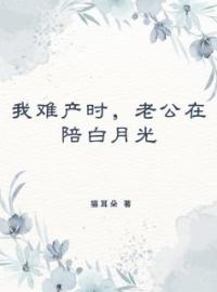 叶青柠陆倾宇全章节阅读-祈愿不爱你全文分享阅读