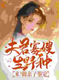 《夫君寡嫂生野种？来！做亲子鉴定》慕矜书陆季辞全章节目录免费阅读