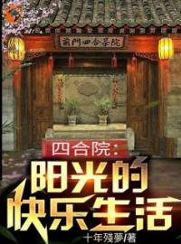 《四合院：阳光的快乐生活》杨光秦淮茹-小说txt全文阅读